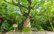 熱田神宮のデートスポット画像-2
