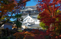 岡崎城のデートスポット画像-1