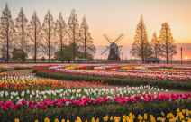 あけぼの山農業公園のデートスポット画像-1