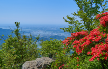 筑波山・筑波実験植物園のデートスポット画像-1