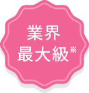 業界最大級※