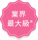 業界最大級※