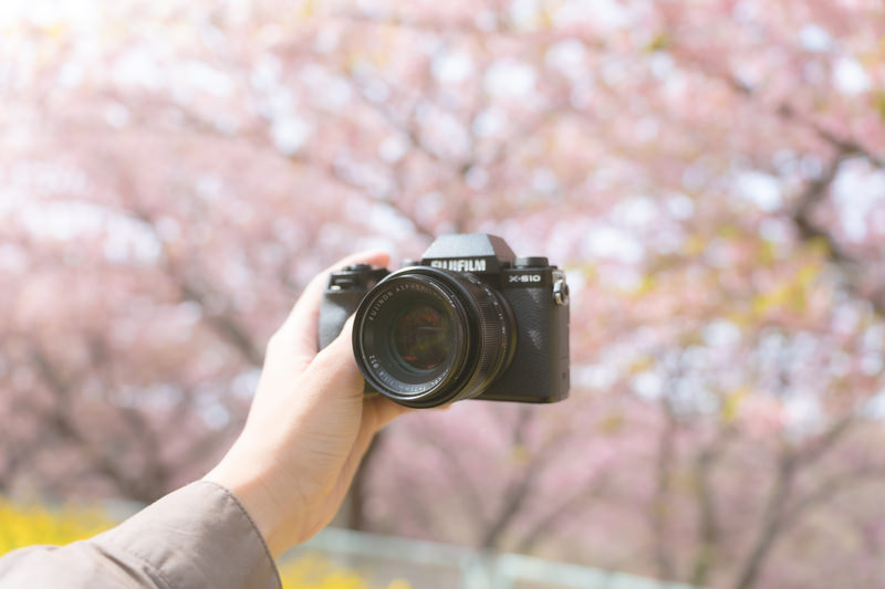 桜の下で自撮りをしようとカメラを構えている手元の画像