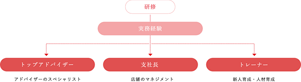 研修　実務経験を経てトップアドバイザー（アドバイザーのスペシャリスト）・支社長（支社のマネジメント）・研修支社長（新人育成トレーナー）へ