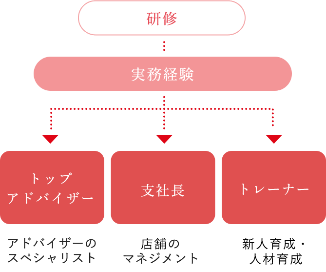 研修　実務経験を経てトップアドバイザー（アドバイザーのスペシャリスト）・支社長（支社のマネジメント）・研修支社長（新人育成トレーナー）へ