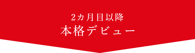 本格デビュー