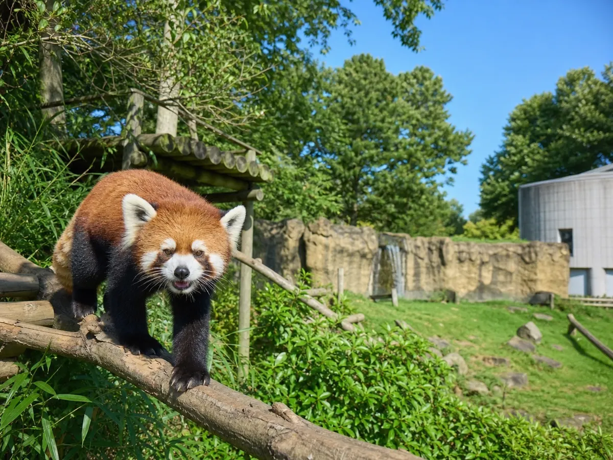 千葉市動物公園