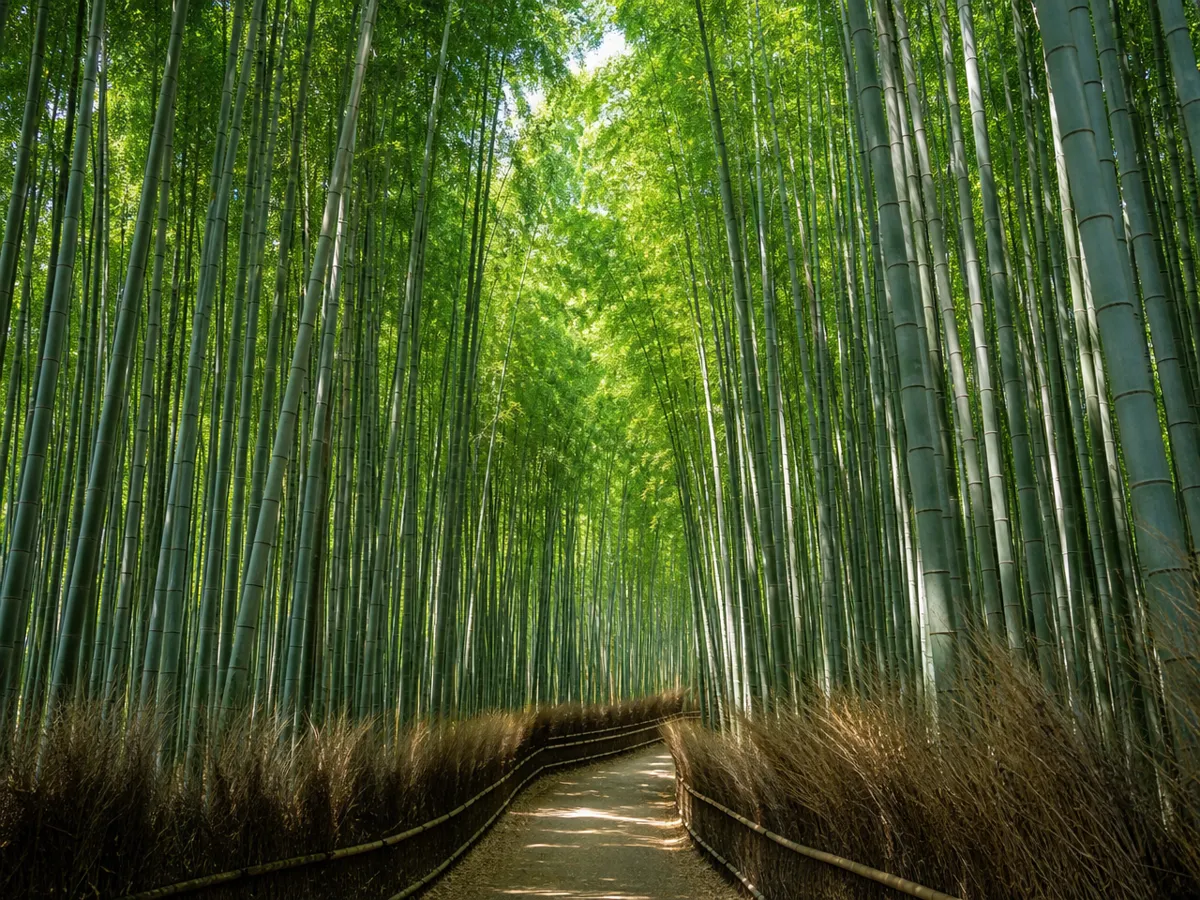 若山農場