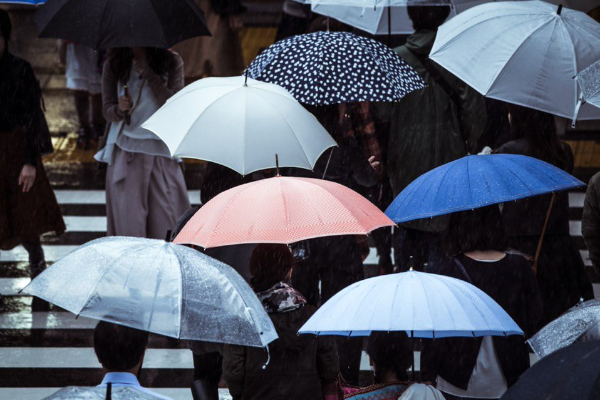 rainy_3085_3.png