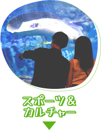 スポーツ＆カルチャー