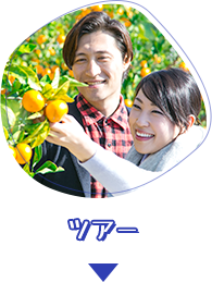 ツアー