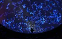 新潟県立自然科学館のデートスポット画像-2