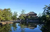 奈良公園のデートスポット画像-2