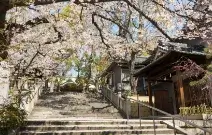 高津宮のデートスポット画像-1