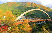 祖谷フォレストアドベンチャーのデートスポット画像-2