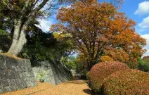 盛岡城跡公園のデートスポット画像-1